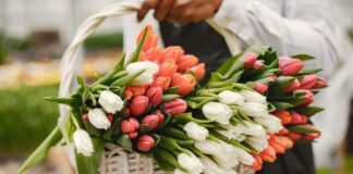 Цветы в корзине — как ухаживать?