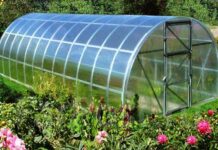 Теплицы в Хабаровске- обзор рынка