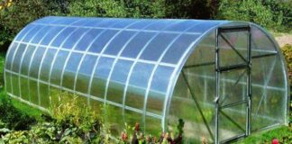 Теплицы в Хабаровске- обзор рынка