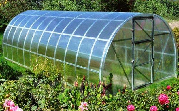 Теплицы в Хабаровске- обзор рынка