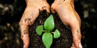 Плодородная почва и ее значение для сельского хозяйства!