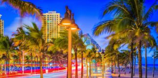 Преимущества обучения в США: доступные программы для всех