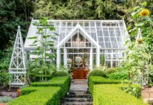 Лучшие стили теплиц