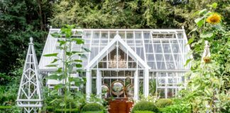 Лучшие стили теплиц