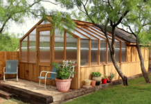 Преимущества теплицы на участке