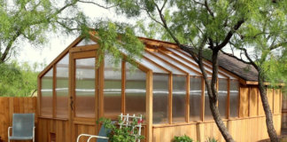 Преимущества теплицы на участке