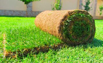 Особенности рулонного газона