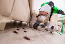 Уничтожить Мошек Дома Поможет «Марафет»