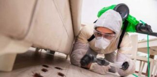 Уничтожить Мошек Дома Поможет «Марафет»