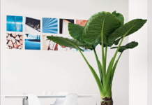 Крупные горшки для комнатных растений из магазина KupiKashpo