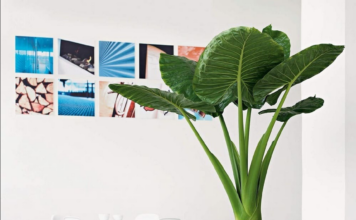 Крупные горшки для комнатных растений из магазина KupiKashpo