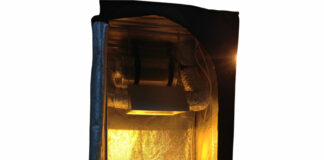 Особенности выбора гроубокса по выращиванию растений