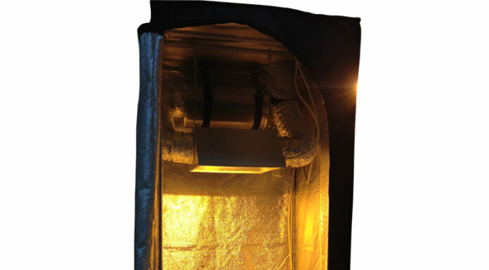 Особенности выбора гроубокса по выращиванию растений