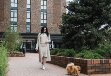 Размещение зеленых насаждений прямо на крышах зданий