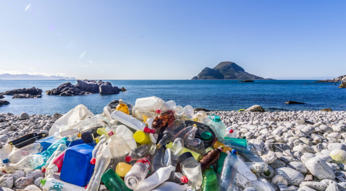 Сбор вторсырья в Абакане