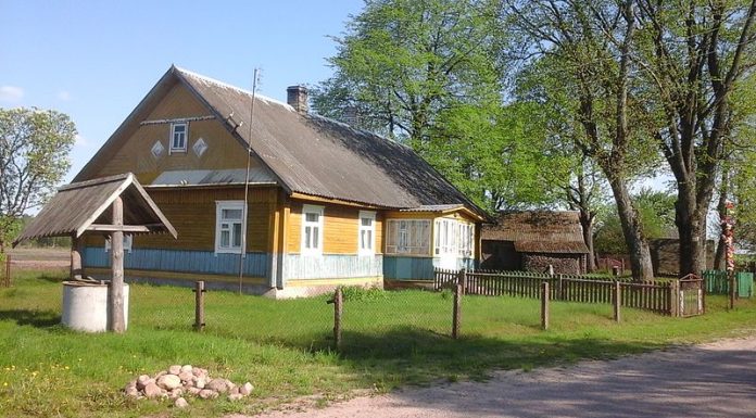 Квартира или дом – что купить?