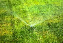 Системы полива в саду – как выбрать эффективное решение?