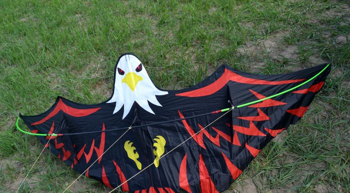 ТОП-5 лучших сайтов по продаже отпугивателя для птиц