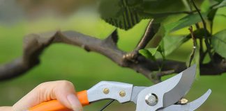 Какие инструменты позволят срезать ветви, не прилагая больших физических усилий