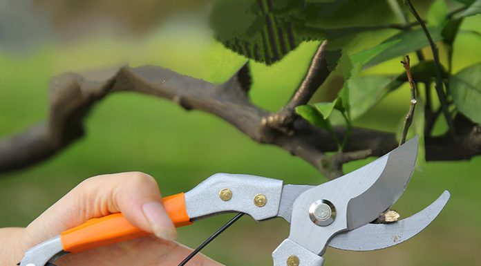 Какие инструменты позволят срезать ветви, не прилагая больших физических усилий