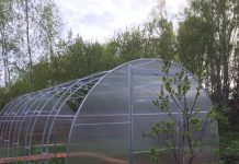 Чем удобны теплицы из поликарбоната, и какие свойства у данного материала