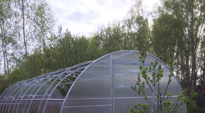 Чем удобны теплицы из поликарбоната, и какие свойства у данного материала