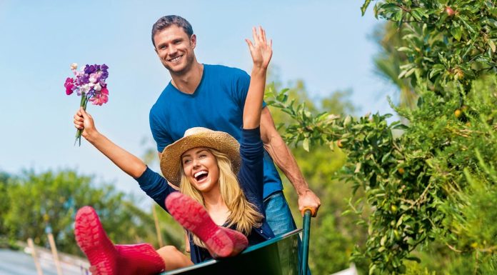 Как выбрать растения для сада