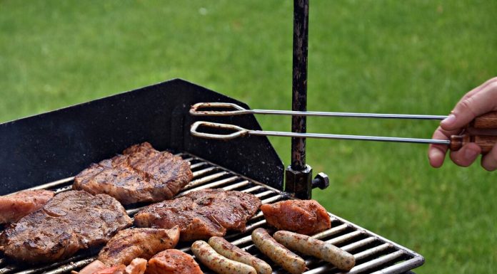 Выбираем мангал