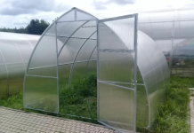 Каплевидная теплица, особенности