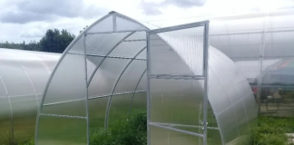 Каплевидная теплица, особенности