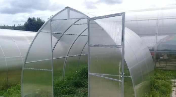 Каплевидная теплица, особенности