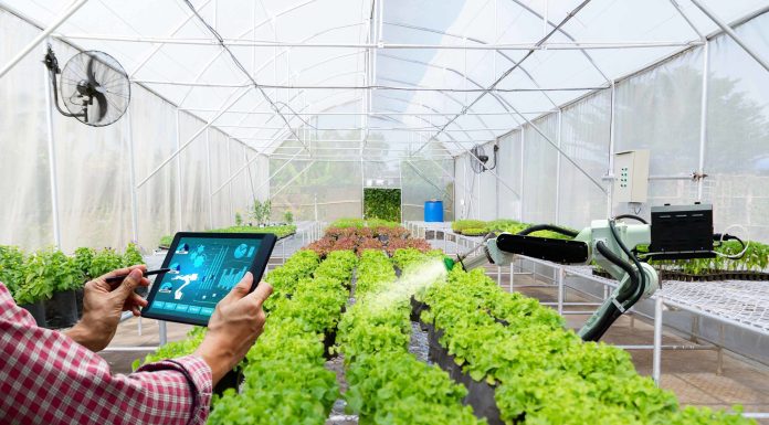 Современное агрохозяйство – не фантастика, а реальность!