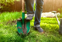 Отправляем деньги с дачи