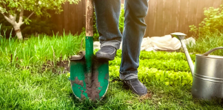 Отправляем деньги с дачи