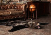 Использование чучел и ковров из натуральных шкур для интерьера