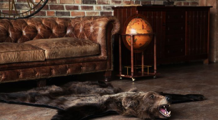 Использование чучел и ковров из натуральных шкур для интерьера