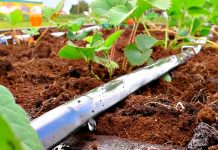 3 характеристики эмиттерной капельной ленты, которые нужно учитывать при выборе