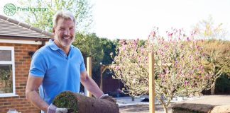 Выбор между посевным и рулонным газонами: плюсы и минусы