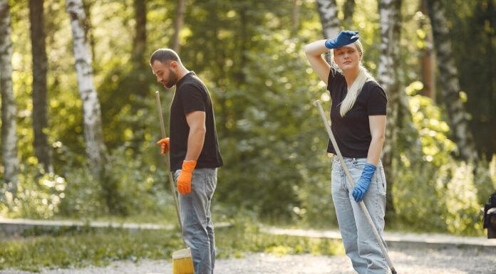 Уборка территории: основные этапы и инструменты
