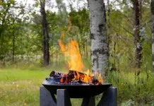 Костровая чаша чугунная: что нужно знать о выборе, использовании и уходе