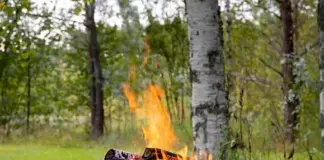 Костровая чаша чугунная: что нужно знать о выборе, использовании и уходе