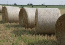 Сеновязальная сетка и все что нужно знать фермеру