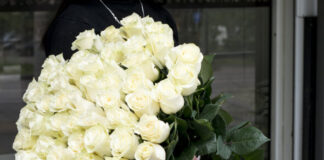 Высокие розы — символ романтики и изысканности