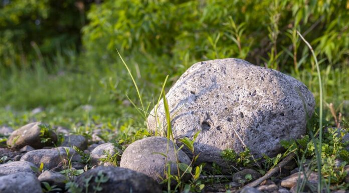 Декоративные камни для ландшафта: идеи для альпийских горок и рокариев