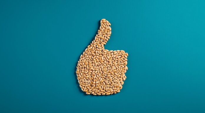 О качестве семян в Семяныче