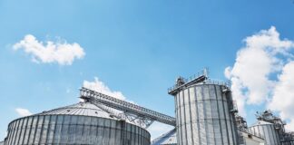 Силос — плюсы хранения зерна