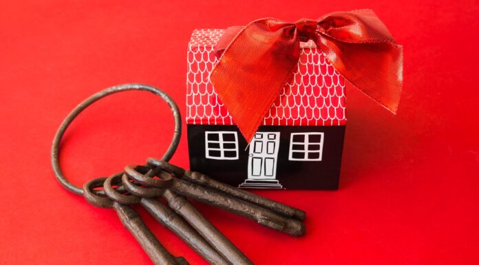 Как платить налоги от сдачи квартиры в аренду