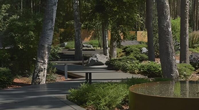 Как выбрать студию ландшафтного дизайна для вашего участка