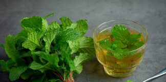 Польза мяты для здоровья: почему стоит выращивать эту траву