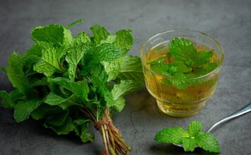Польза мяты для здоровья: почему стоит выращивать эту траву